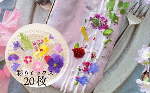 ドライ エディブルフラワー 彩りミックス 20枚