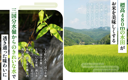 No.1172 四八米 こしひかり 酵素プレミアム 2合×5個入 1.5kg ／ お米 米 こめ 精米 白米 1.5キロ 国産 産地直送 産直 お取り寄せ 希少 最高品質 最上級 甘み 旨み 人気 お