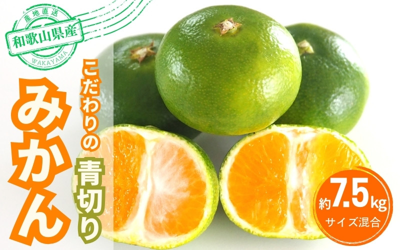 
            【2025年秋頃発送予約分】こだわりの青切りみかん　約7.5kg  有機質肥料100%　 サイズ混合　※2025年9月下旬より順次発送予定（お届け日指定不可）【nuk107D】
          