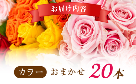 バラ 花束 20本  おまかせ 花 薔薇  生花 愛知県 田原市