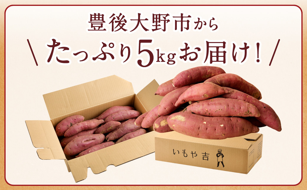 【ご自宅用】【訳あり】 紅はるか 5kg B品 甘藷 べにはるか