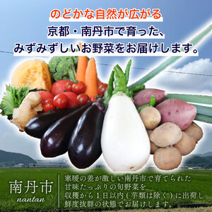 【定期便6回】【産地直送】旬のお野菜詰め合わせ 6～8種類 ( 京野菜 野菜 お野菜 やさい セット 野菜セット 詰め合わせ 詰め合わせセット 季節 旬 旬野菜 産地直送 栄養 安心 新鮮 おすすめ 