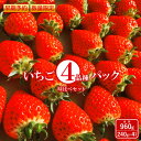 【ふるさと納税】【早期予約・数量限定】いちご 4種 960g 食べ比べ セット 240g × 4パック 春いちご スターナイト おいCベリー ゆうやけベリー かおり野 すず はるひ よつぼし ふるさと納税 福島県 石川 石川町 イチゴ 【1000501】