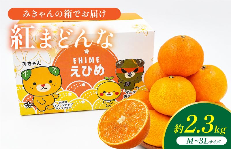 
                  紅まどんな（ご家庭用）2.3kg みきゃん箱 [K002940]
                