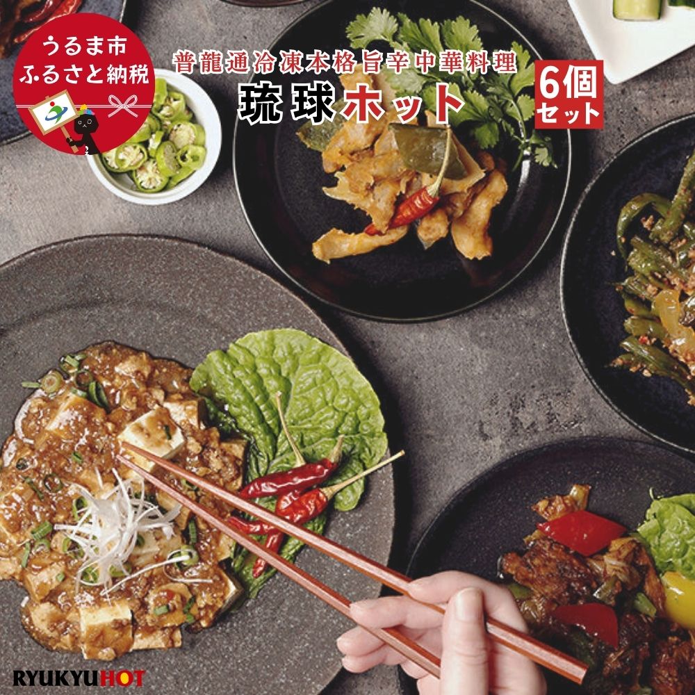【ふるさと納税】普龍通冷凍本格旨辛中華料理　琉球ホット（冷凍品） ＜6個入り＞【アンリッシュ食品工業】