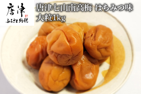 唐津七山 南高梅大粒はちみつ味 500g×2(合計1kg)「 irodoriからつ 四季の返礼品」山間から湧き出る澄んだ水をふんだんに含んだ土壌で栽培