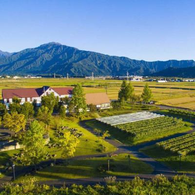 ふるさと納税 南魚沼市 鶴齢 720ml・八海山 720ml・越後ワイン 750ml×3本セット |  | 03