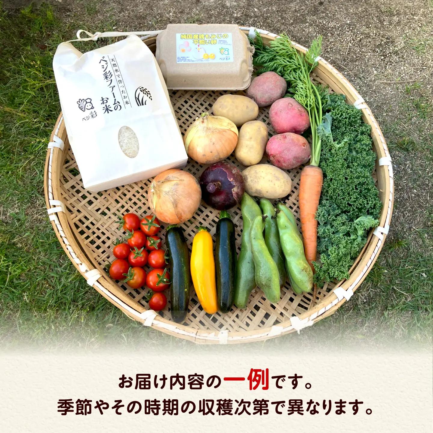 【先行予約/2026年10月以降発送】旬のお野菜3種類以上＆お米2kg＆平飼い卵セット 大阪府高槻市/ベジ彩ファーム[AOEJ015]