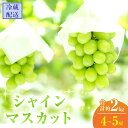 【ふるさと納税】2024年 先行予約 シャインマスカット 4～5房 合計約2kg 冷蔵配送 ぶどう 葡萄 フルーツ 果物 岡山 　 岡山のぶどう 岡山の果物 食後 デザート 産地直送 大粒 皮ごと 種無し 　お届け：2024年9月上旬～2024年9月下旬