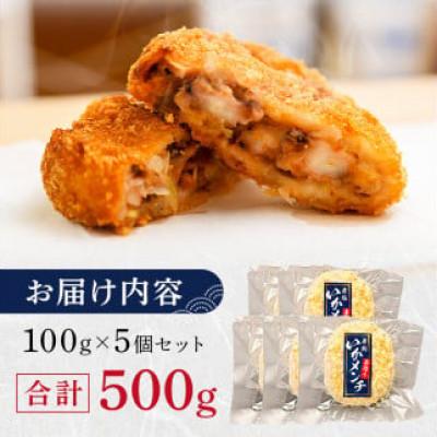 ふるさと納税 南房総市 今話題沸騰中の房総手作り『いかメンチ』100g×5個【冷凍】　mi0047-0006 |  | 03