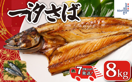 【 スピード配送 】 一汐鯖 8kg 鯖