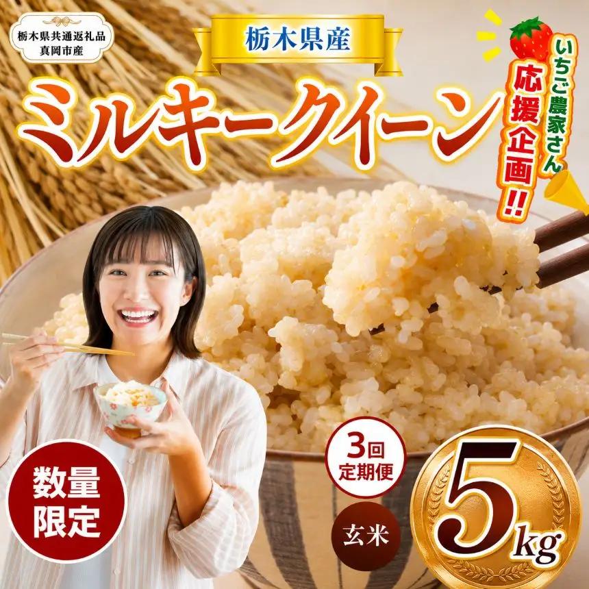 先行予約 【定期３回】令和8年度産 栃木県産 ミルキークイーン 5kg |【栃木県共通返礼品】