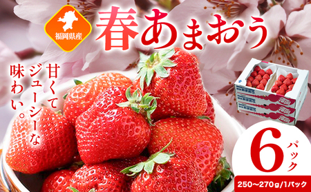 福岡県産 春あまおう 6パック 南国フルーツ株式会社《2月上旬-3月末頃出荷》【配送不可地域あり】