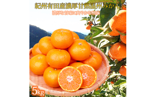 【先行予約】紀州有田産 濃厚完熟 温州みかん 約5kg【2026年11月下旬～2027年1月下旬頃に順次発送予定】  / みかん ミカン 蜜柑 温州みかん 柑橘 フルーツ 果物 くだもの 和歌山