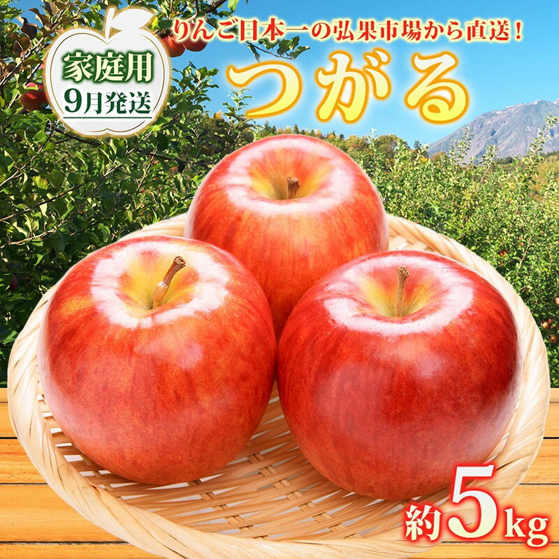 【ふるさと納税】【9月発送】家庭用 つがる 約5kg リンゴ 林檎 りんご 皮ごと 甘い 酸味 シャキシャキ デザート フルーツ 果物 お取り寄せ 産地直送 旬 季節限定 弘果物流 青森県 西目屋村　お届け：2025年9月1日～2025年9月25日
