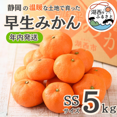 
＜先行受付＞＜11月より順次出荷予定＞早生みかん約5kg SSサイズ〔鈴木農園〕【1510119】
