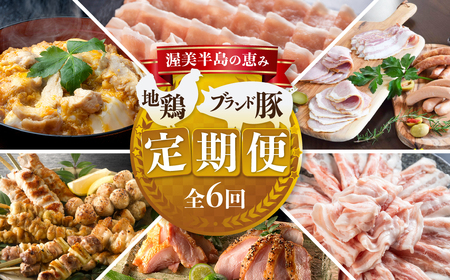 渥美半島の恵み ブランド豚・地鶏 定期便 全6回 田原ポーク / 名古屋コーチン / 焼き鳥 など 肉 定期便 肉 定期便 肉 定期便 肉 定期便 肉 定期便 肉 定期便 肉 定期便 肉 定期便 肉 定期便 肉 定期便 肉 定期便 肉 定期便 肉 定期便 肉 定期便 肉 定期便 肉 定期便 肉 定期便 肉 定期便 肉 定期便 肉 定期便 肉 定期便 肉 定期便 肉 定期便 肉 定期便 肉 定期便 肉 定期便 肉 定期便 肉 定期便 肉 定期便 肉 定期便 肉 定期便 肉 定期便 肉 定期便 肉 定期便 肉 