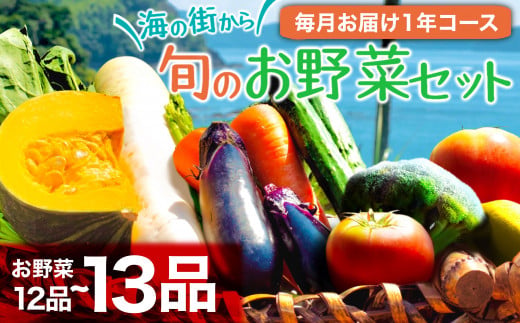 【1年間定期便】 季節の野菜を厳選 お野菜セット (12～13品前後】