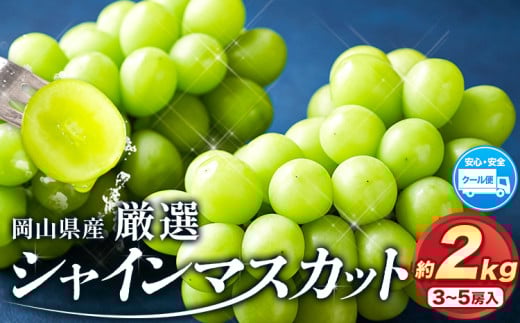 すぐ届く！【スピード出荷 3-7営業日以内発送】シャインマスカット 厳選 訳あり シャインマスカット 約 2kg 3~5房 岡山県 浅口市 シャインマスカット ぶどう フルーツ 果物 贈り物 ギフト 国産 岡山県産 送料無料 ブドウ