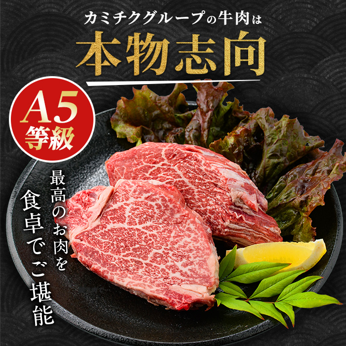 薩摩牛 極 ヒレステーキ 300g(2枚入)(LRプラスK/IB112-018) A5 国産 牛肉 牛 ブランド牛 ヘレ ヘレ肉 黒毛和牛 鹿児島県産 黒毛 A5ランク 国産牛 お肉 肉 ヒレ ヒレ肉