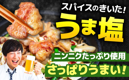 【12回定期便】岐阜県産豚もつの鉄板焼き「元祖みたけとんちゃん」豚塩味（4人前） / モツ もつ 白もつ ホルモン / 御嵩町 / 藤よし[AVAA060]