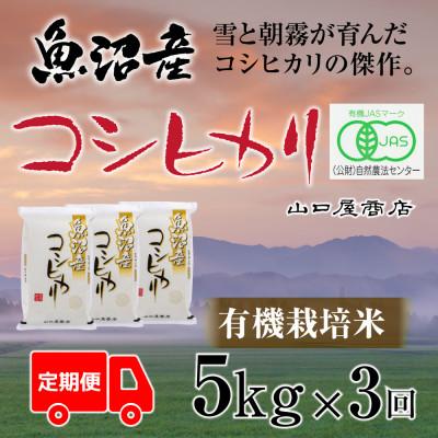 ふるさと納税 十日町市 【毎月定期便】【厳選☆川西地区育ち】　“有機栽培米”　魚沼産コシヒカリ　5kg　全3回