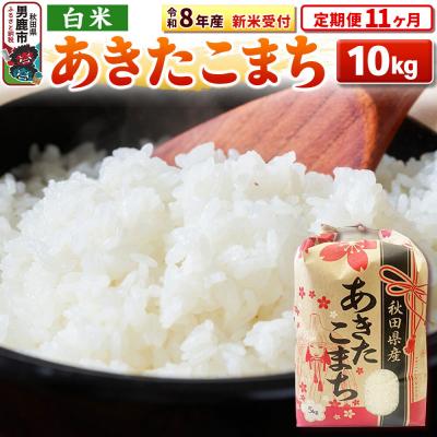ふるさと納税 男鹿市 新米受付《定期便11ヶ月》【白米】秋田県産 あきたこまち 10kg|23_kml-031011s