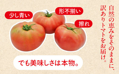先行予約（訳あり）（2026年7月上旬頃から順次発送） 甘塾トマト 麗月 2Ｌ～3Ｌ 大サイズ 4kg以上 【119-5】