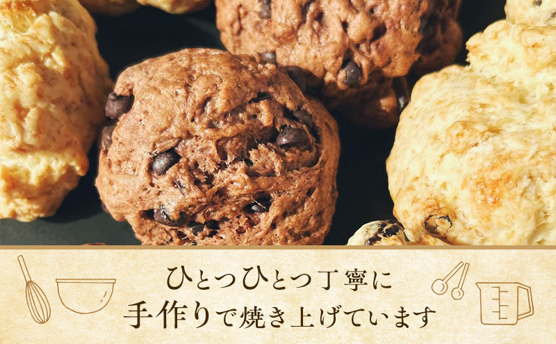 スコーン 詰め合わせ 12個セット 3種類 カシューナッツ レーズン ココア＆チョコ 手作り 焼き菓子