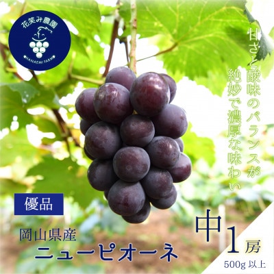 【2026年先行受付】岡山　花笑み農園の『ニューピオーネ』500g以上(中1房)P-中1【配送不可地域：離島】【1695400】