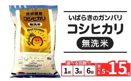 
                  【令和7年産】茨城県産 無洗米 コシヒカリ 選べる 定期便 1～6回 選べる 5kg～15kg 3ヶ月 6ヶ月
                