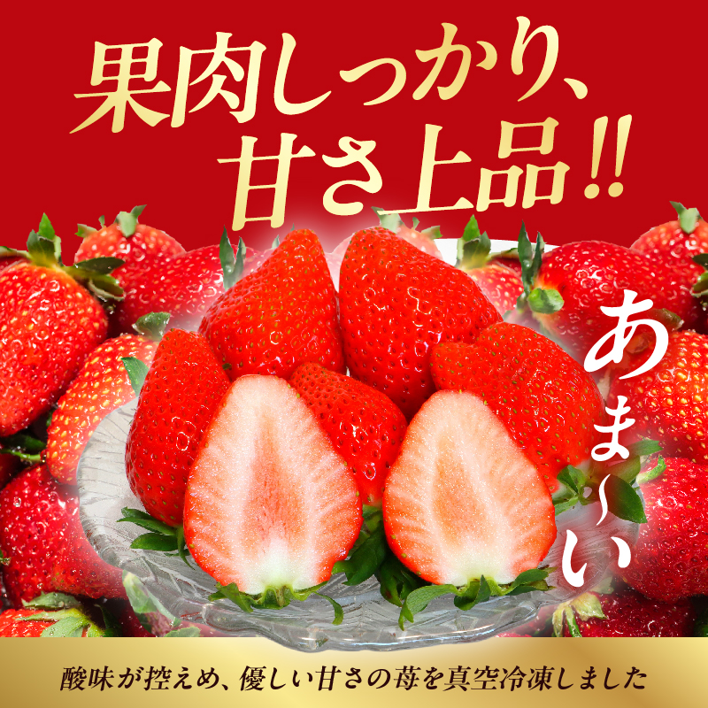 ≪訳あり≫都農町産「冷凍いちご(やよいひめ）」計1kg_T059-003【フルーツ 果物 デザート イチゴ 国産 人気 ギフト 食品 旬 苺 スムージー 果実 贈り物 送料無料 プレゼント】