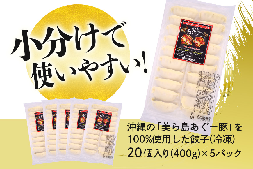 美ら島あぐー餃子 100個セット 20個入×5パック 絶品 こだわり 豚 肉 国産 ごはん おかず お弁当 冷凍 ぎょうざ ギョウザ 小分け BBQ ギョーザ 惣菜 晩酌 ギフト 手作り 生餃子 豚肉