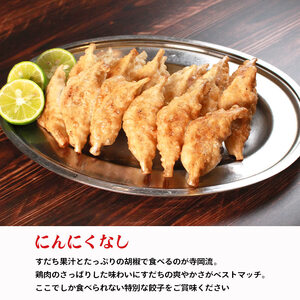 冷凍餃子 にんにくなし 60個 餃子