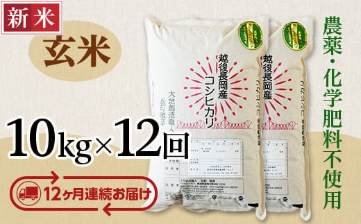 
E1-G10Z【12ヶ月連続お届け】新潟県長岡産コシヒカリ玄米10kg
