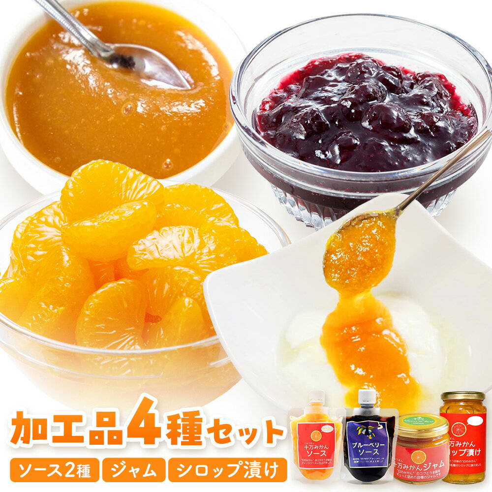 【ふるさと納税】加工品4種セット ソース 2種 ジャム シロップ漬け 各1個 田野農園《30日以内に出荷予定(土日祝除く)》鹿児島県 さつま町 十万温州みかん みかん 蜜柑 柑橘 ブルーベリー 果物 くだもの フルーツ ジューシー シロップ 送料無料