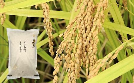 神代米 ( コシヒカリ ) 精白米 5kg / 米 お米 こめ コメ