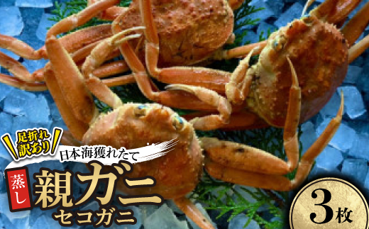 【蒸し】訳あり足折れ日本海産親ガニ(セコガニ)　3枚【配送不可地域：離島・北海道・沖縄県】