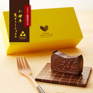 幸せの生ガトーショコラ ミニサイズ 3本セット