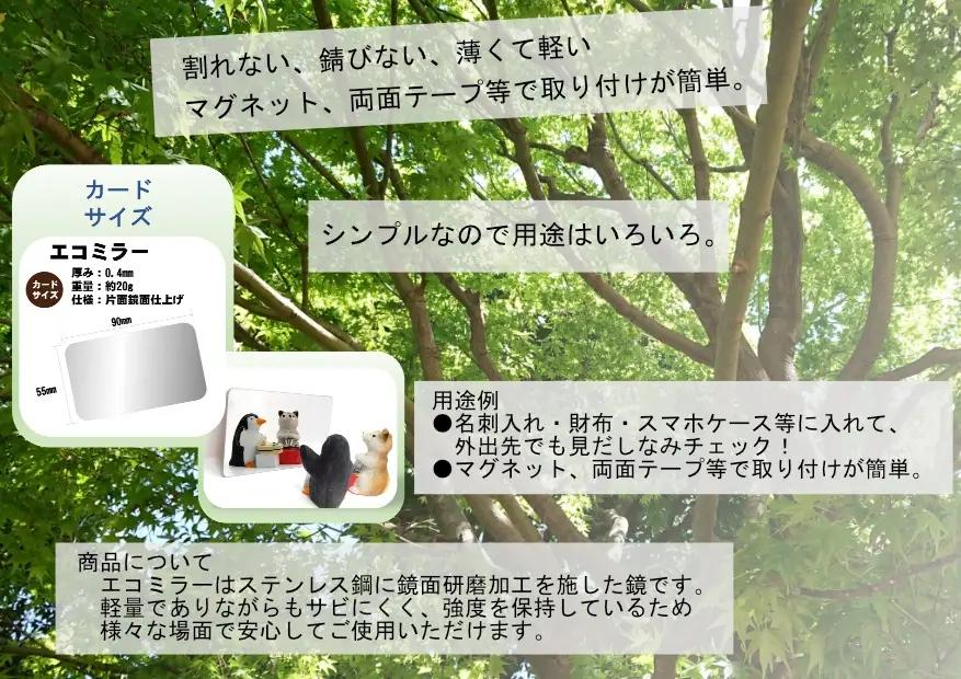 H-275 ステンレスカードミラー【ECOMIRROR】赤とんぼくん・あかねちゃん　各１枚セット
