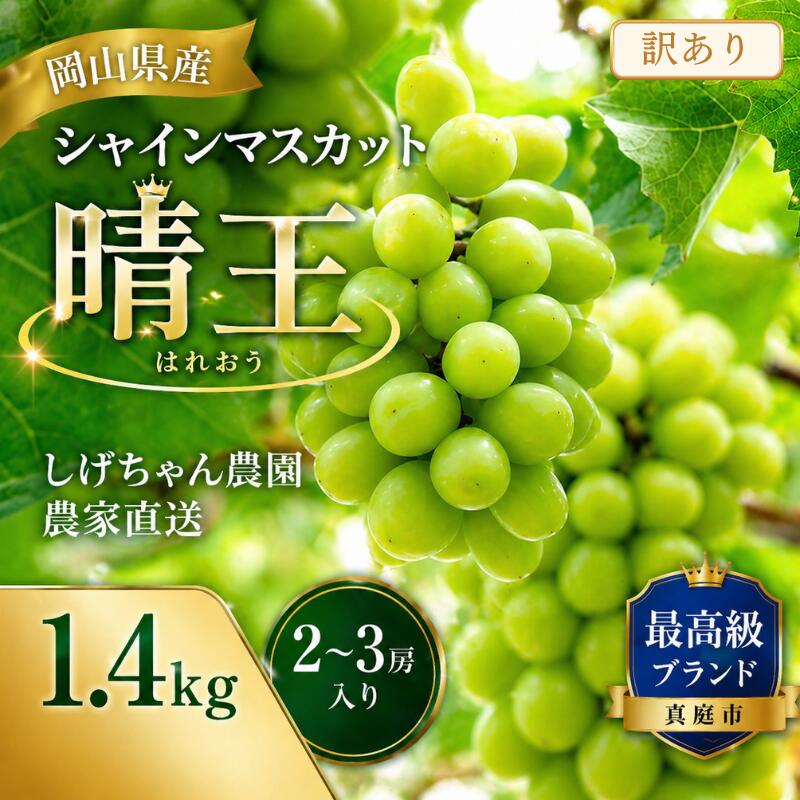 【ふるさと納税】【訳あり品】 しげちゃん農園の シャインマスカット「晴王」 1.4kg前後（2〜3房入） 【2026年10月上旬〜順次発送】 ※小粒や見た目の良くないもの等の訳あり品 岡山県真庭市産 ぶどう シャインマスカット フルーツ