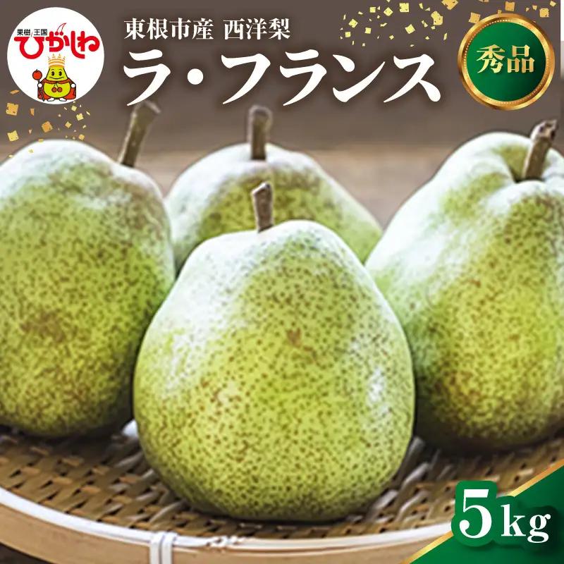 2026年産 西洋梨 ラフランス 5kg ラフランス 洋梨 くだもの