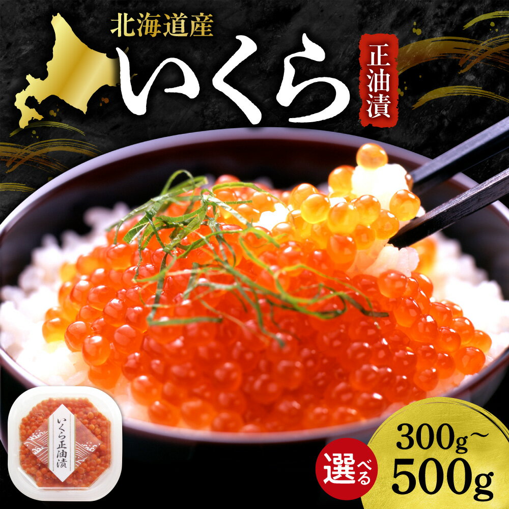 【ふるさと納税】 北海道産 いくら 正油漬 【 選べる 容量 】 300g 400g 500g イクラ ikura 味付き 鮭 サケ シャケ 秋鮭 魚卵 鮭卵 海鮮 魚介 イクラ丼 おつまみ おかず ご飯のお供 冷凍 水産 海産 お取り寄せ グルメ ギフト 小分け 北海道 札幌市