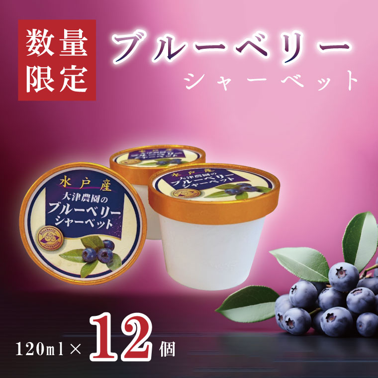 【ふるさと納税】ブルーベリーシャーベット　12個【ブルーベリー ブルーベリーアイス ブルーベリーシャーベット シャーベット 採れたて ブルーベリー園 果物 果実 フルーツ】（FQ-1）