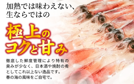 【生食可】 冷凍 生ほたるいか 1kg 小分け 250g×4パック  / ほたるいか