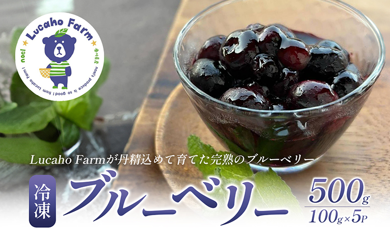 ブルーベリー Lucaho Farm 100g×5p 香川県産 冷凍ブルーベリー 冷凍ブルーベリー フルーツ 果物 くだもの 旬のフルーツ 旬の果物 冷凍 香川 香川県 東かがわ市