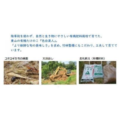 ふるさと納税 小松市 【今春先行予約】有機JAS認証  白子たけのこ 「色白美人」 3.5kg |  | 02