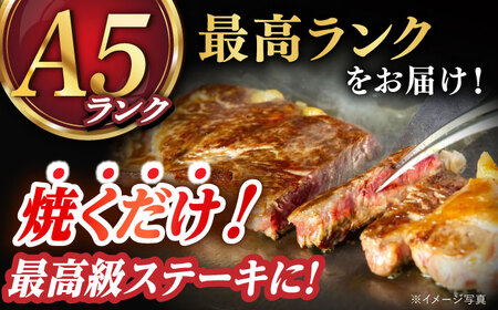【2種食べ比べ】 長崎和牛 A5ランク ミニステーキセット（サーロイン･モモ）約400ｇ 《小値賀町》【有限会社肉の相川】 [DAR047][DAR047]