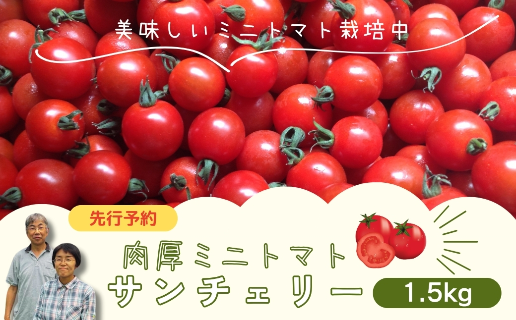 ミニトマト サンチェリー 1.5kg 7月発送 トマト とまと プチトマト 新鮮 野菜 農家直送 1キロ おすすめ ギフト 贈答 プレゼント 10000円 1万円 福島県 田村市 田村 よしのや農園 N061-001