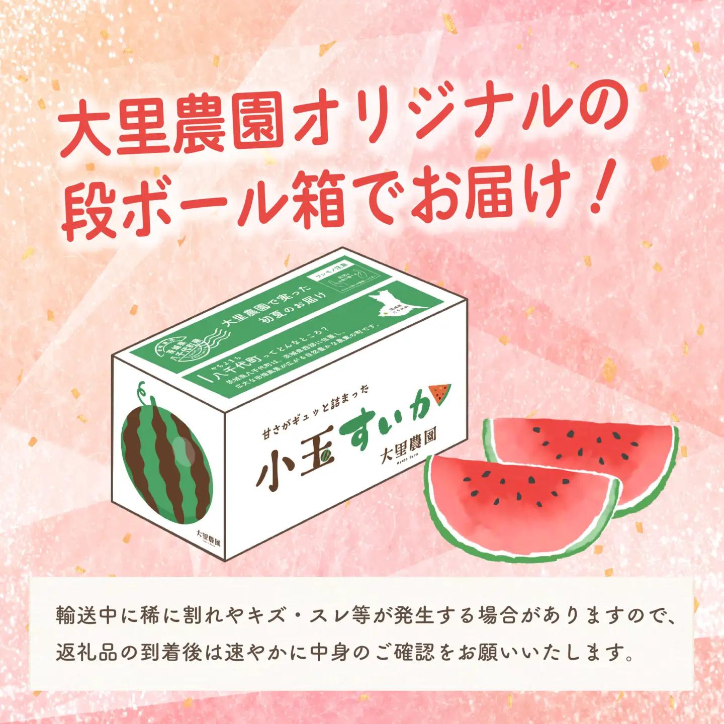 スイカ 黒皮 小玉スイカ 姫甘泉ブラック ひとりじめBonBonリッチ 1箱 2玉